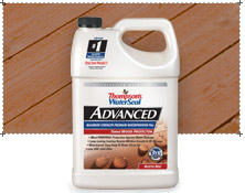 10778_20008019 Image Thompsons WaterSeal Adv Tint Wood Protector Nat Cedar 1176.jpg